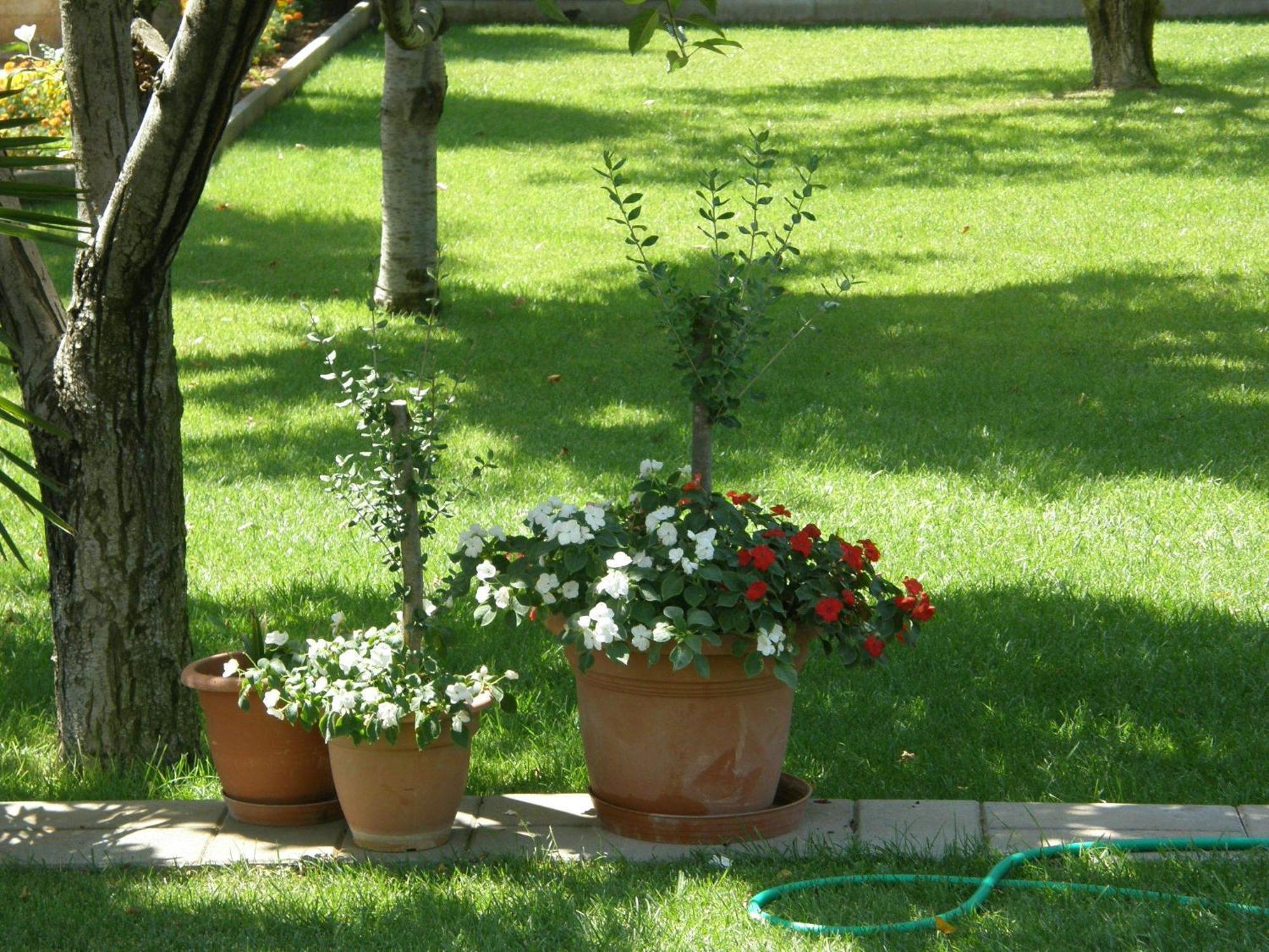 Apartment Slavica *