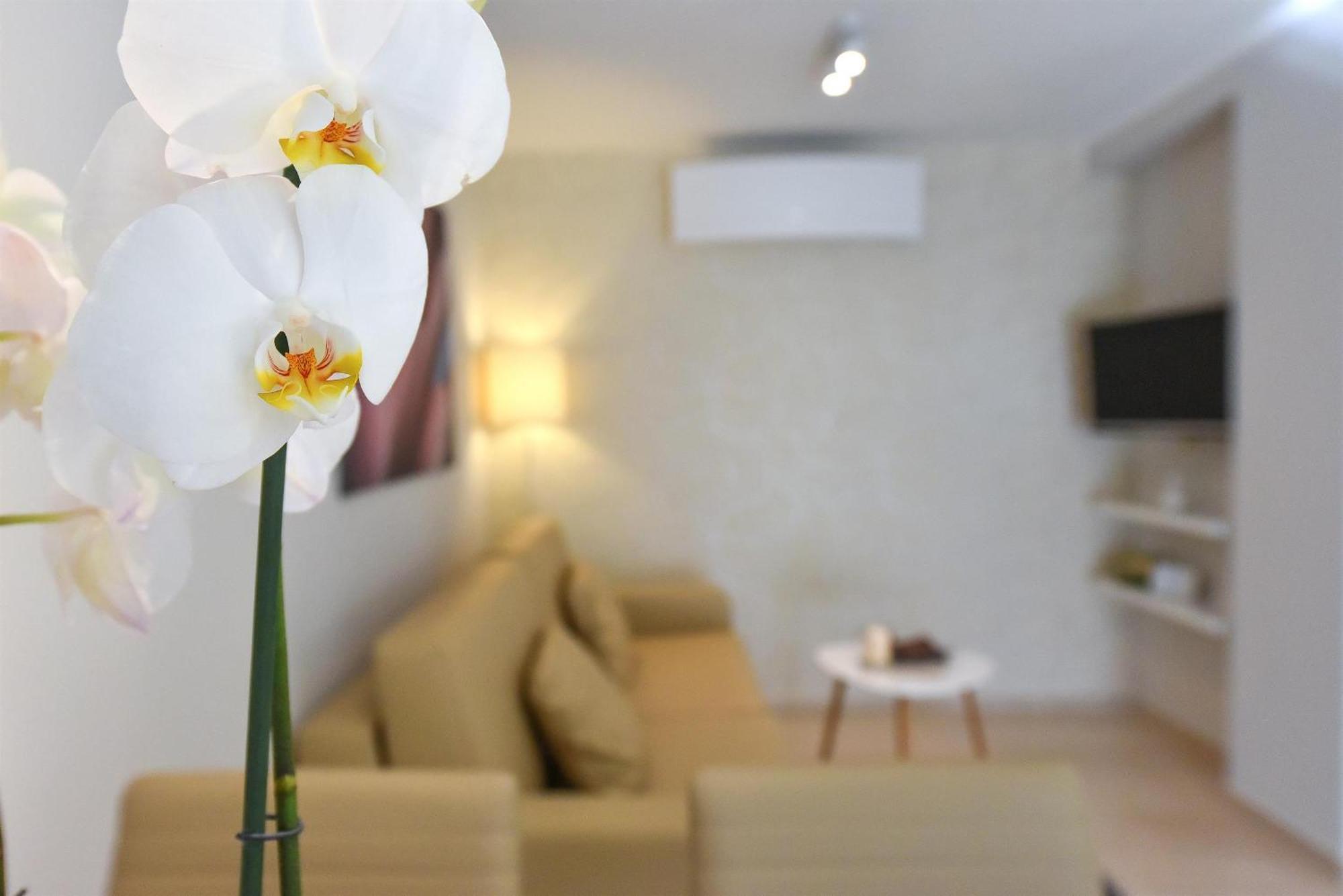 Slavica Apartment Vodice